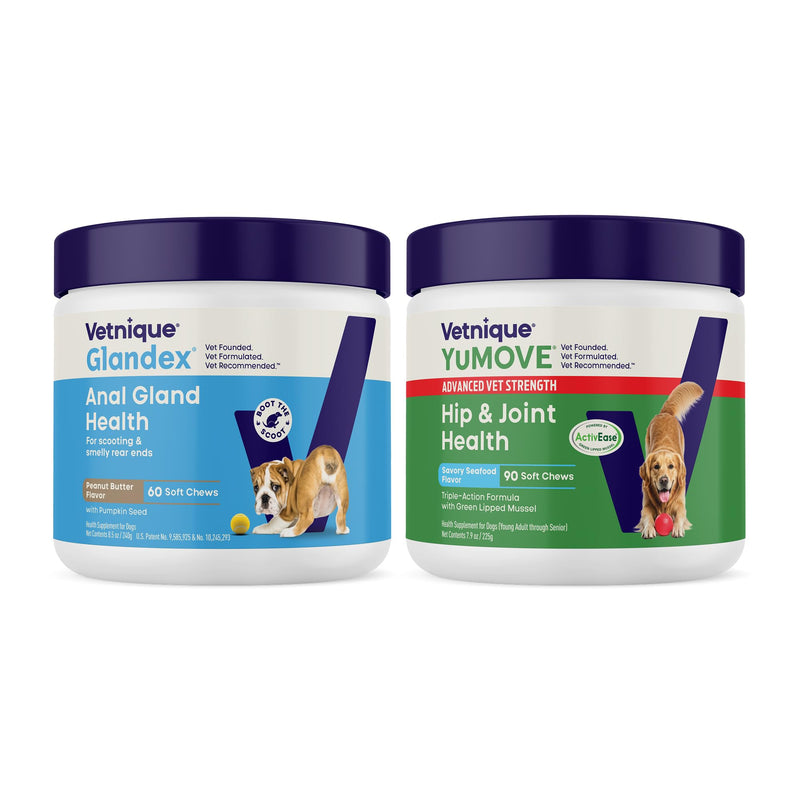 Glandex Anal Gland Soft Chews for Dogs (Peanut Butter, 60ct) + YuMOVE Advanced Strength Hip & Joint Supplement (90ct) | Digestive & Mobility Bundle