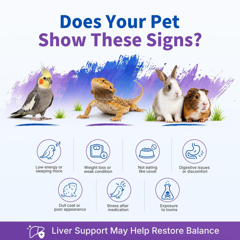 Milk Thistle for Birds, Tortoises & Rabbits – Natural Liver Support Supplement, Supports Detox & Healthy Liver Function