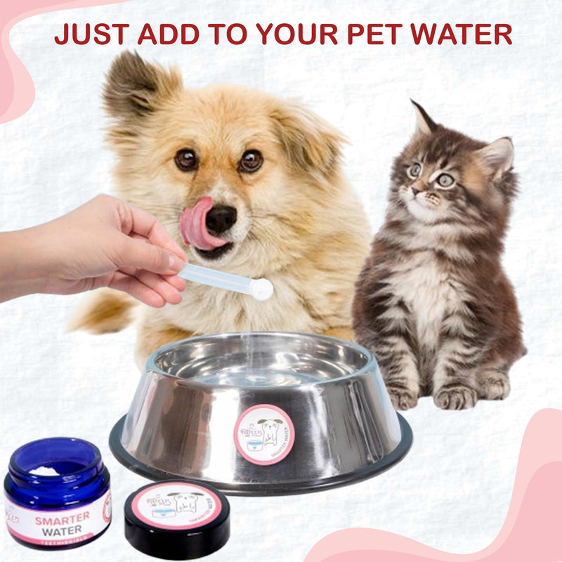 Dogs Breath Freshener, Cat & Dog Dental Powder, Water Additive for Dogs, Plaque & Tartar Remover, Best Way to Eliminate Dogs & Cats Bad Breath, Vet Recommended 45 Servings. - PawsPlanet Australia