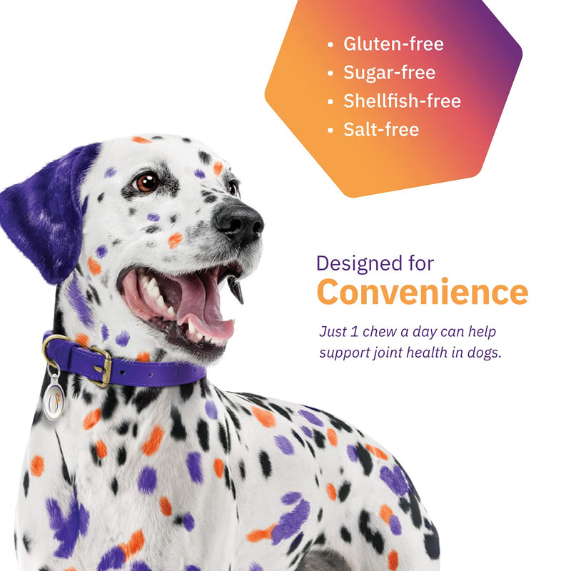 MOVOFLEX Joint Support Soft Chews for Small, Medium and Large Dogs 1 Pack (60 count) - PawsPlanet Australia