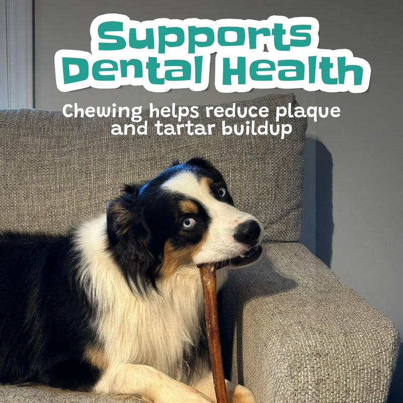 Collagen Sticks for Dogs 6" - 10 Count - Long Lasting Dog Chews, Rawhide Alternative, Single Ingredient, Bully Stick Alternative, Dental Support Treats for Small, Medium & Large Dogs