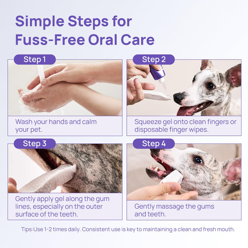 HICC PET Dog Dental Gel, Vet-Trusted Teeth Cleaning Gel for Dogs & Cats, Pet Breath Freshener, Maintains Gum Health, Natural Enzymatic Oral Repair Gel Kit, No Brushing Required, Non-Toxic. 2 fl oz 2.0 Fl Oz
