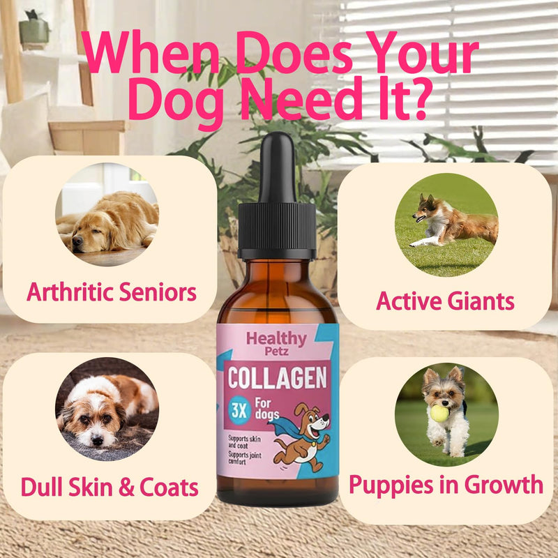 Healthy Petz Premium Liquid Collagen Drops for Dogs, Gut Health & Vitality Supplement, Advanced Joint Support 2 Fl OZ