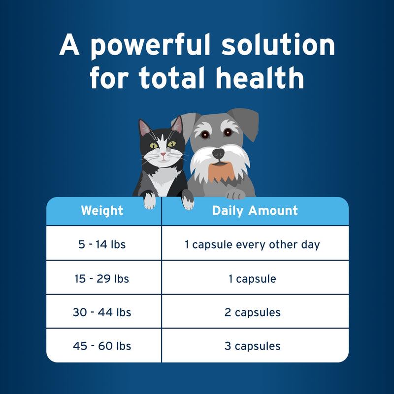 Bundle of Advantage XD Large Cat Over 9lbs. + Pet Protect Omega 3 Supplement for Small Dogs & Cats | 60 Capsules Large Cat + Omega 3