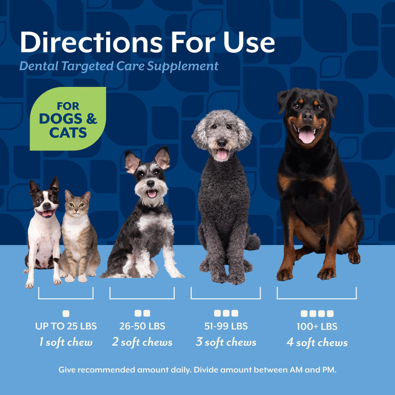 NaturVet Dental Targeted Care Supplement for Dogs and Cats, Helps Reduce Plaque & Tartar with PRIOME Postbiotics, Scandinavian Kelp & Fresh Breath Blend, 60 Hickory Bacon Soft Chews