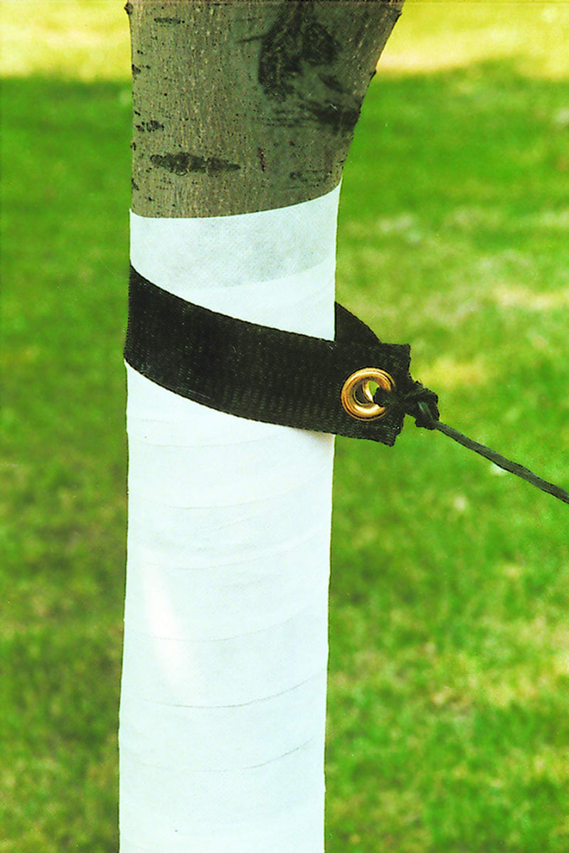 Tree Wrap, 3 In x 50 Ft 3ft