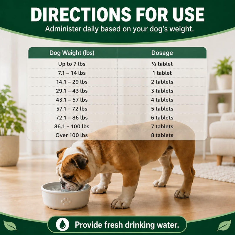 Zenectin Dewormer for Dogs, Digestive Cleanser, Broad Spectrum for All Wormer, Hookworms, Lung Worms, Pin Worms, Round Worms