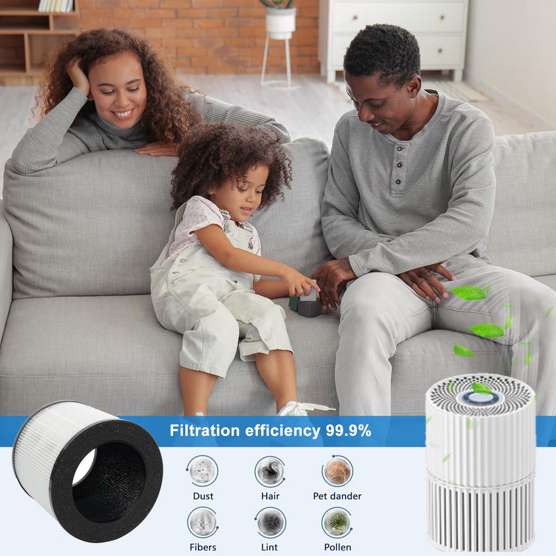 Replacement Air Filter A10 Compatible With GANIZA A10 AIR Purifier,H13 True HEPA Activated Carbon Filter(2-Pack)