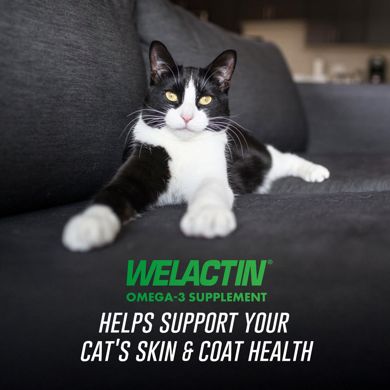Nutramax Welactin Omega 3 Fish Oil for Cats, Skin and Coat Health Supplement, Plus Kidney, Brain, and Vision Support, Premium Omega 3 Fatty Acids EPA and DHA, 4 Ounce Liquid 125