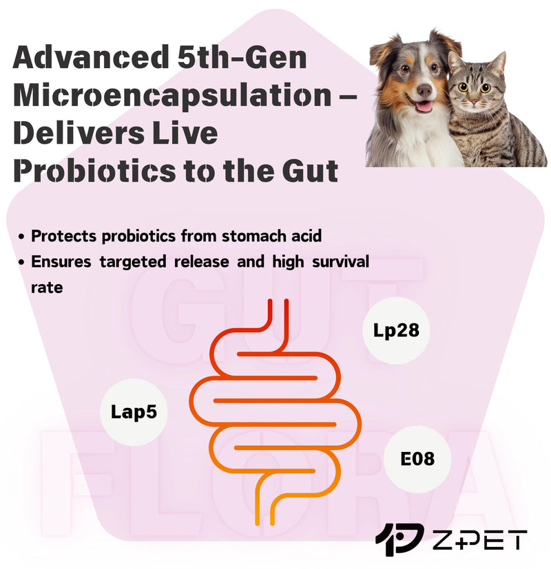 ZPET Probiotics Powder for Dogs & Cats – 5th-Gen Microencapsulation with 3 Patented Strains – Gut Health & Digestive Support – Helps with Diarrhea, Stool Odor & Appetite – 100g (5g×20 Piuches) Mild Sweet