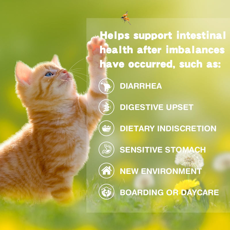 Probiotics for Cats - 5 Billion CFUs & 9 Strains Digestive Enzymes - Support for Sensitive Stomach, Hairball Relief & Immune System - Cat Gut Health Supplement with Prebiotics - Chicken Flavor, 180g
