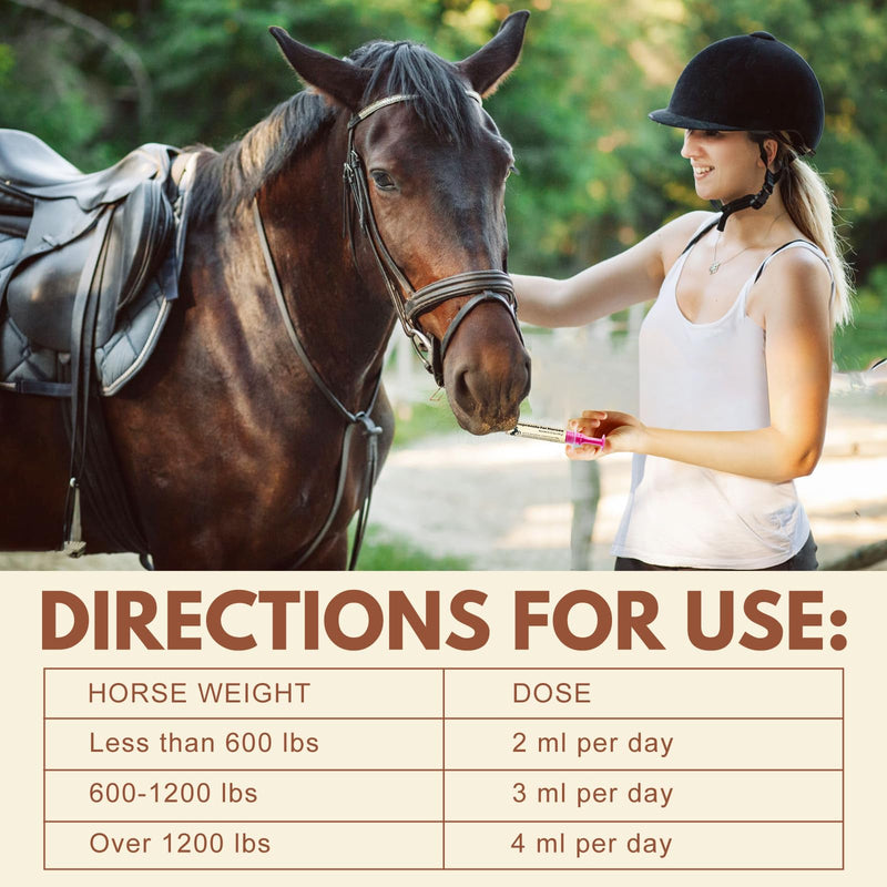 Omeprazole Oral Paste for Horses – Prevent Gastric Ulcers in Horses, Guard Stomach Health for Training, Racing, Showing, Trailering, Traveling, Stall Confinement, and Competition, 9.5 g