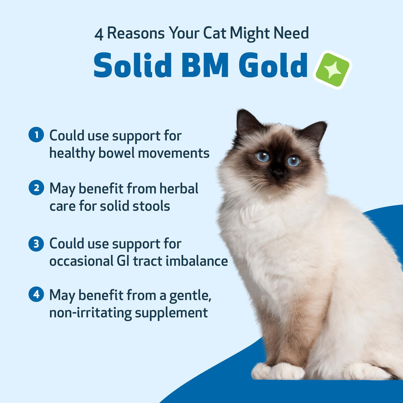 Pet Wellbeing Solid BM Gold for Cats - Supports Healthy Digestive Function, Solid Stools, Bayberry, Oregon Grape - Veterinarian-Formulated Herbal Supplement 4 oz (118 ml) (4 fl oz (118 ml)) 4 fl oz (118 ml)