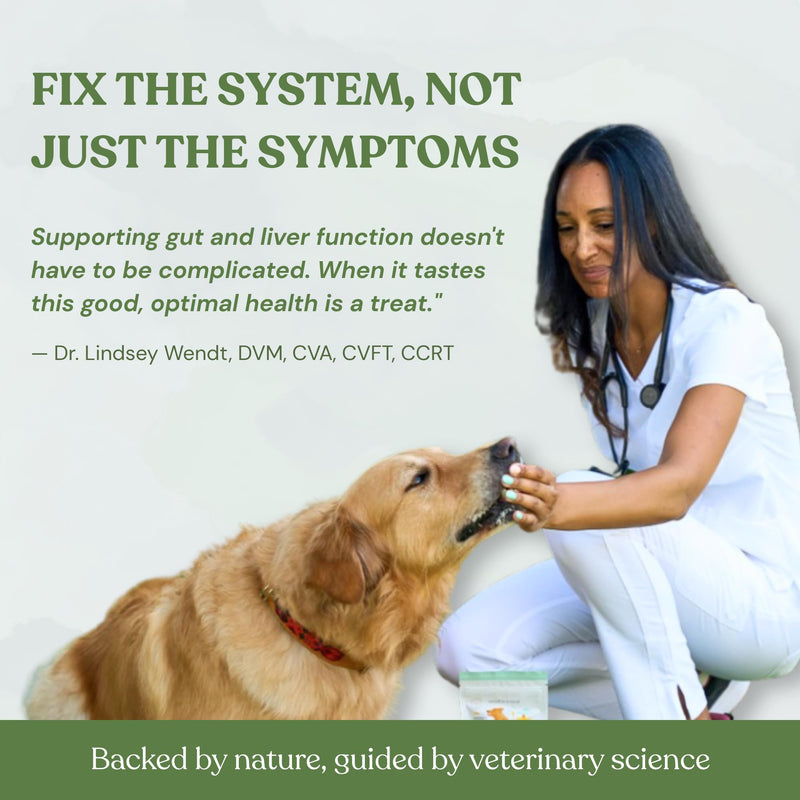 Inner Glow Digestive Dog Treats - Gut Health Support with Prebiotics, Dandelion & Chaga - Vet Formulated for Diarrhea Relief & Immune Support - Organic, Vegan, 2-Pack Inner Glow 4 Ounce (Pack of 2)