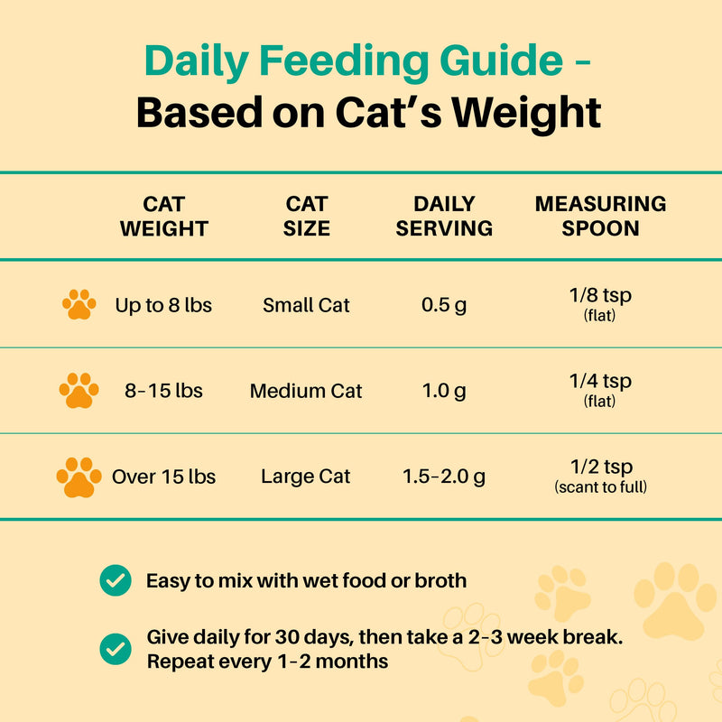 Natural Intestinal Support for Cats & Kittens – with Diatomaceous Earth, Pumpkin Seed & Probiotics – Powder Supplement for Digestive & Gut Health – Made in USA