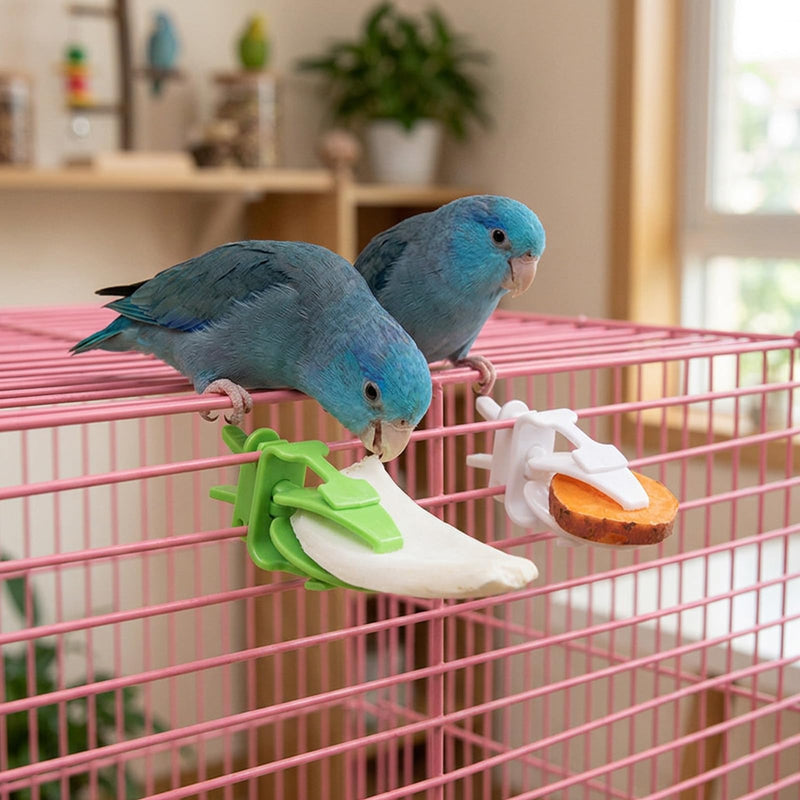 8-Piece Set with Cuddle Bones for Birds,Cuttlebone Holder for Birds,Ideal Cuddle Bones for Parakeets and Small Birds, Made from Durable PP Material for Long-Lasting Use