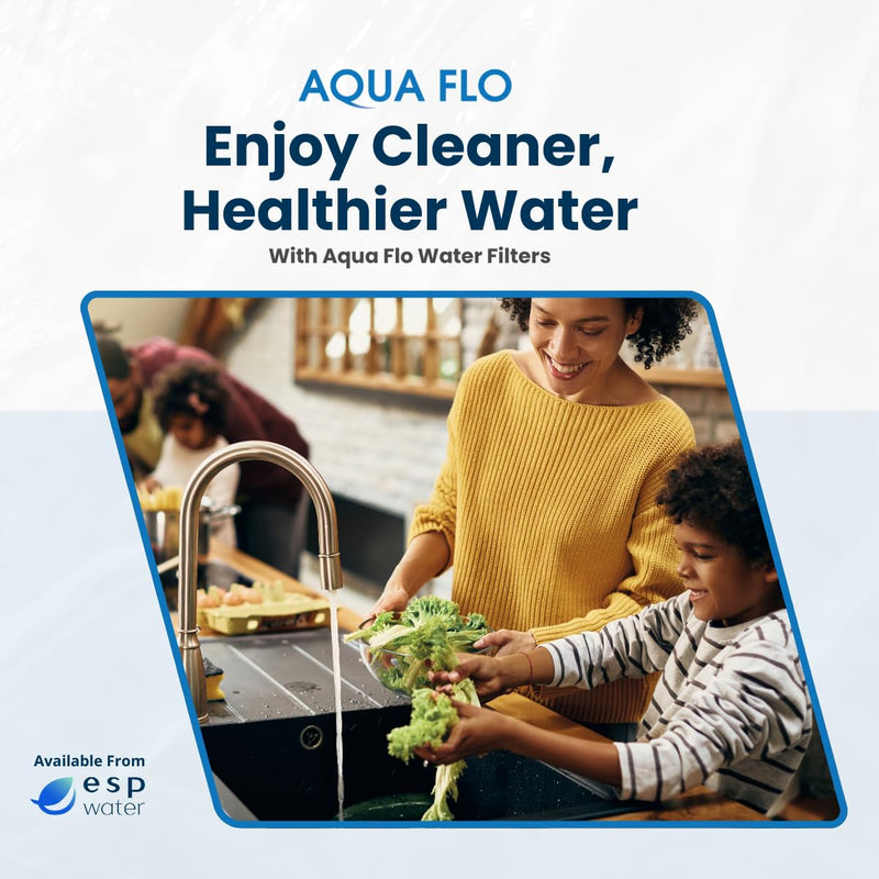 Aqua Flo COC-10 Purple Activated Carbon Filter Cartridge, 10 Micron, Quick-Change, 1 gpm Flow, 1,500 Gallon Capacity, Fits 475 Q-Series RO Systems, 65010088