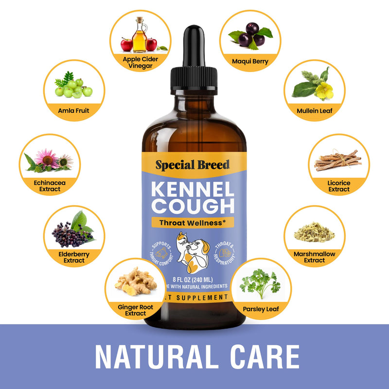 Kennel Cough Support for Dogs & Cats – Helps with Dry, Wet & Barking Cough – Herbal Pet Respiratory & Throat Support, Supports Breathing & Clear Airways – Natural Liquid Supplement – 8oz 8 Ounce