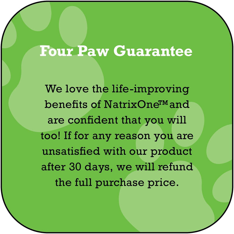 Omega 3 for Dogs 16 oz - All-Natural Skin and Coat Supplement - Supports Hearts, Joints, and Anti-inflammatory Systems - Made with Camelina Oil by NatrixOne - PawsPlanet Australia