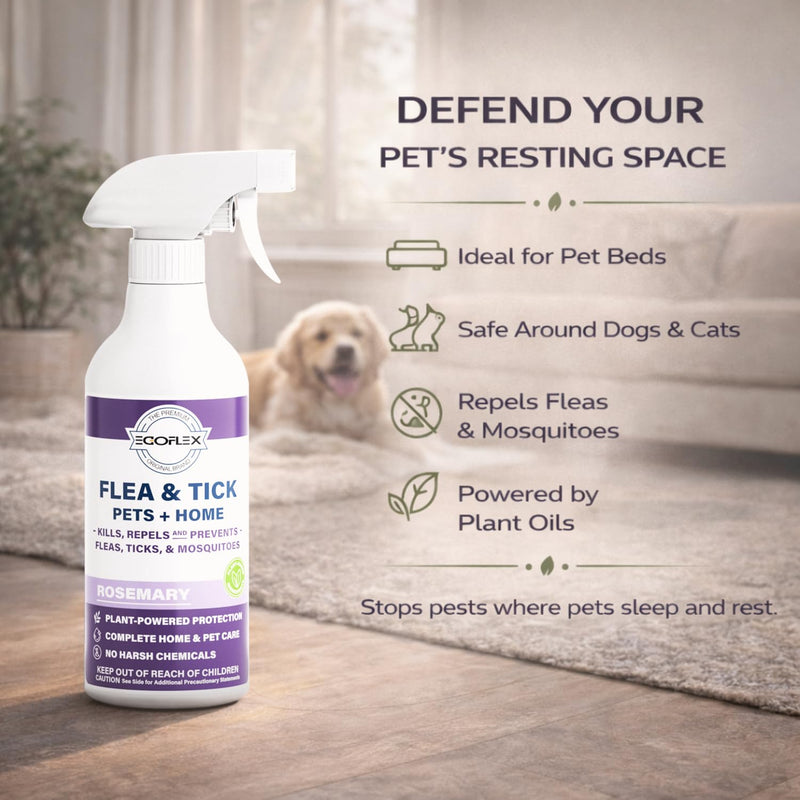 Flea Spray for Home & Pets - Flea and Tick Prevention for Dogs - Plant Based Repellent with Natural Essential Oils for Dog Flea Treatment Protection - Rosemary Scent - 16 Fl Oz