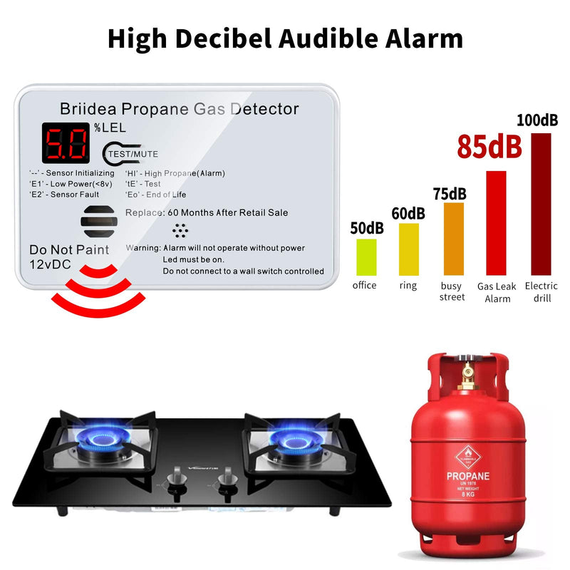 RV Propane Alarm, Briidea RV Propane Gas Detector with 85dB Loud Alarm, 12 VDC, White