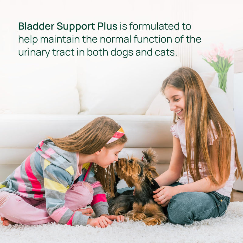 pawTree Bladder Support Plus for Dogs and Cats - Bladder & Urinary Tract Wellness Supplement - with D-Mannose, Cranberry, Glucosamine and Marshmallow Root to Support Bladder Health (Large) Large