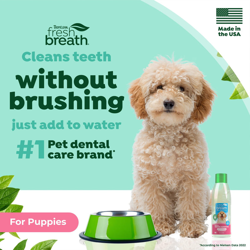 TropiClean Fresh Breath Water Additive for Puppies, Teeth Cleaning and Breath Freshener Solution, No Toothpaste or Toothbrush Required, 8 oz. 8 Fl Oz (Pack of 1)