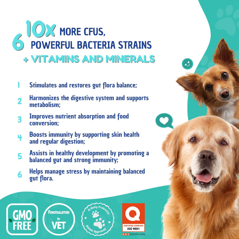 Prebiotic & Probiotic Dog Probiotic Paste, 6 Strains of Bacteria,18 Bi CFU's + Vitamins, Minerals- Upgraded Formula for Fast Balance GI, Dogs Probiotic Paste (14 g) Pack of 1 - PawsPlanet Australia