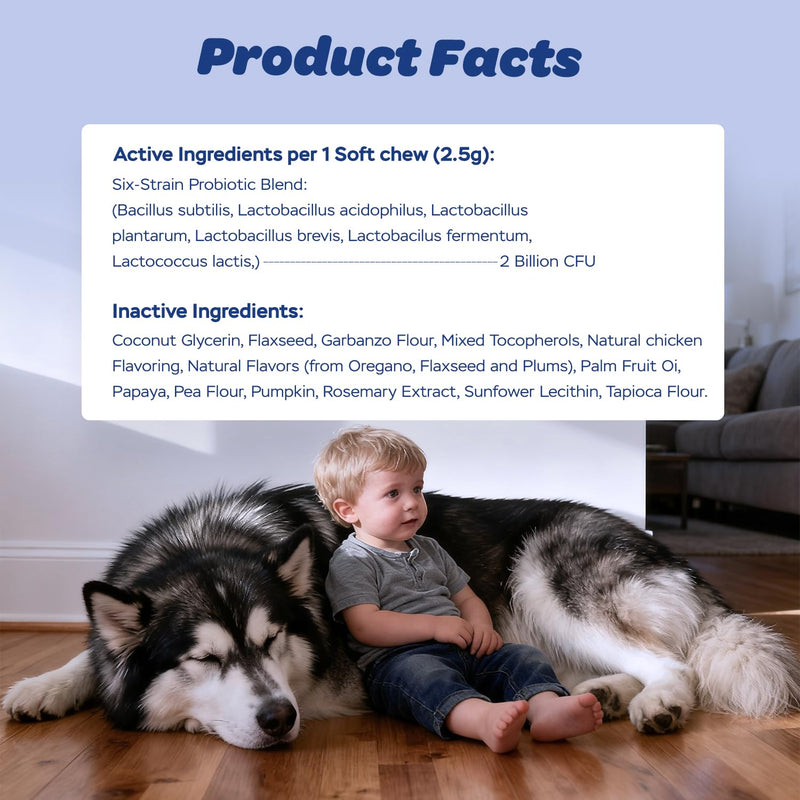 Dog Probiotic Soft Chews – 6-Strain Blend for Digestive & Immune Health – Supports Gut Balance, Reduces Gas, Tasty Daily Treat for Dogs-120 Count