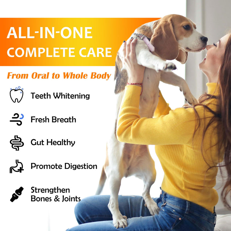 Petstoral Natural Dog Dental & Supplement Powder, Plaque & Tartar Control with Glucosamine, Omega-3, Probiotics & Vitamin E for Joint, Beef Liver Flavour, Digestion & Fresh Breath 2.12 Ounce (Pack of 1)