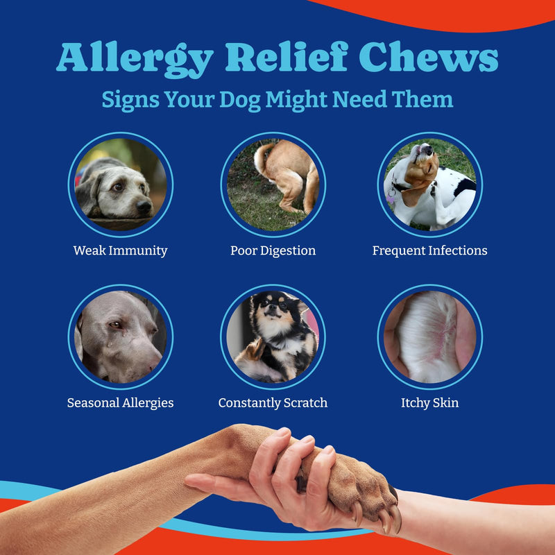 Dog Allergy Relief Chews - Immune Support & Itch Relief with Colostrum, Astragalus Root, 6-Strain Gut Health Blend - Duck & Pear Flavor, 160 Count - PawsPlanet Australia