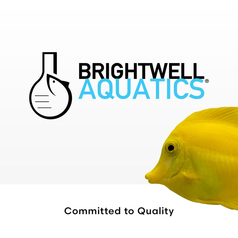 Brightwell Aquatics Shrimp FlorinMulti – Complete Plant Nutrient Supplement for Shrimp & Freshwater Aquariums – Supports Growth, Color & Health – Copper-Free, 125 ml 125-ml