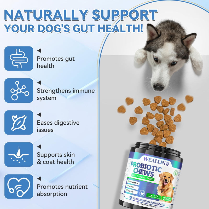 WEALLIN Cat & Dog Supplement Bundle – L-Lysine Chews for Cats 500 Count with Immune Support + Dog Probiotics Chews 200 Count for Digestive & Gut Health, Chicken Flavor