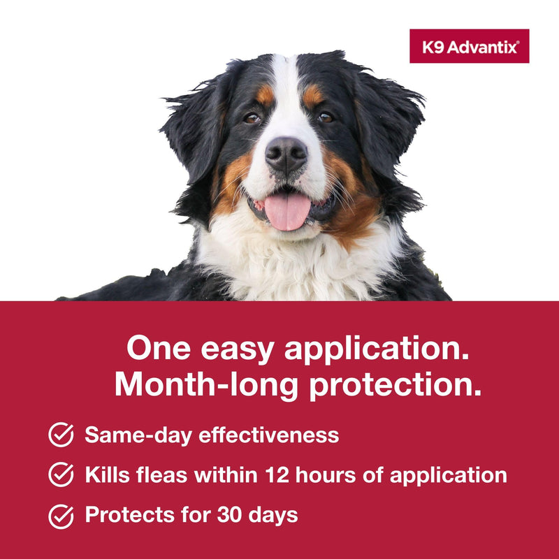K9 Advantix Flea, Tick & Mosquito Prevention for Dogs Over 55 lbs. | Flea Drops for Extra Large Dogs | Apply Monthly | 4 Treatments (Pack of 2) 4 Dose (Pack of 2)
