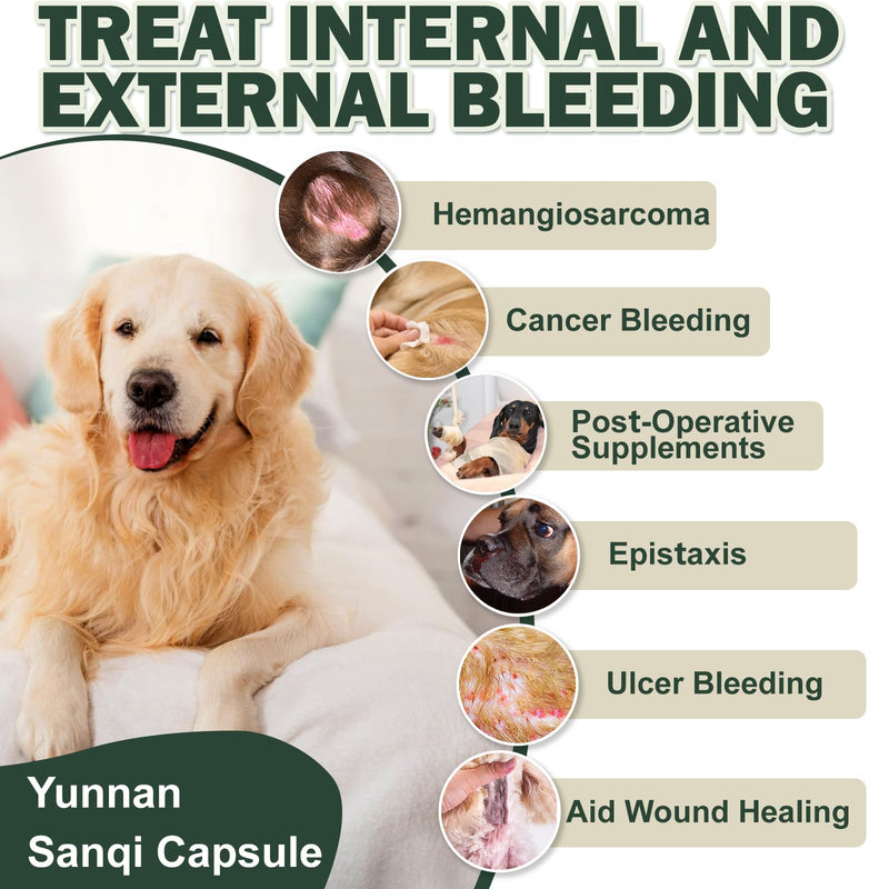 Yunnan Sanqi Capsules for Dogs, Support Stop Bleeding, Hemangiosarcoma, Hemoabdomen, Pericardial Effusion, Cancer Bleeding, Severe Bruising, Ulcer-Related Bleeding, 90 Capsules