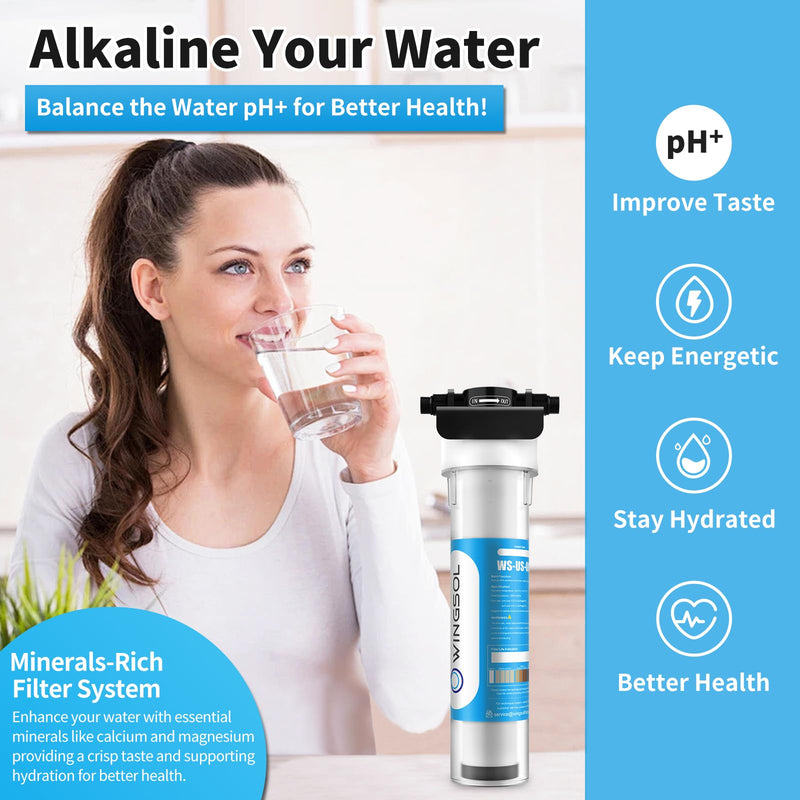WINGSOL Jumbo Under Sink Water Filter Replacement, Reduce Heavy metals, Chlorine, Alkalize, Long-lasting, 5-in-1, work with WS-US-001 Jumbo advanced (F), Model#WS-USRF-001 Jumbo Advanced
