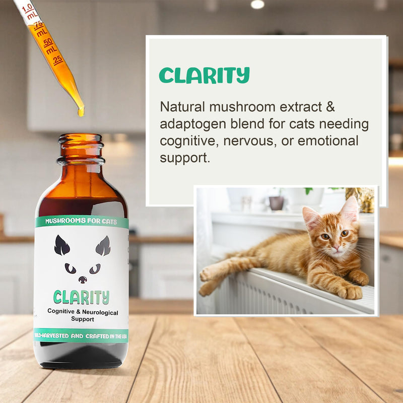 MycoCat Clarity - Cat Calming & Cognitive Support Supplement with Functional Mushrooms & Adaptogens - Brain Health, & Senior Feline Wellness - for Memory & Focus - 2 oz