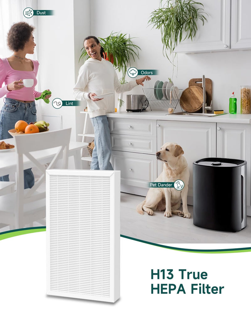 2 Pack F1 Filter Replacement for 3M Filtrete Air Purifier