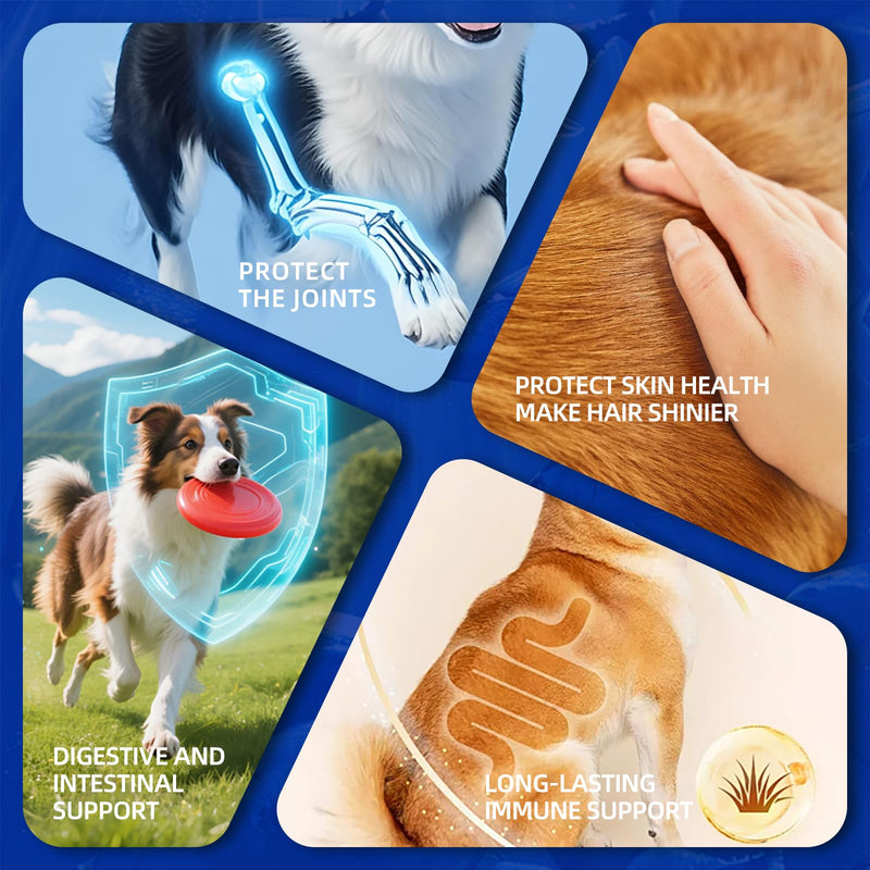 Dog Multivitamin Soft Chews — Glucosamine, Probiotics & Omega 3 for Hip & Joint Support, Skin & Coat, Immune & Digestive Health — Senior Dog Vitamins for All Breeds, Chicken Flavor, 15 Count 15 Chews*1