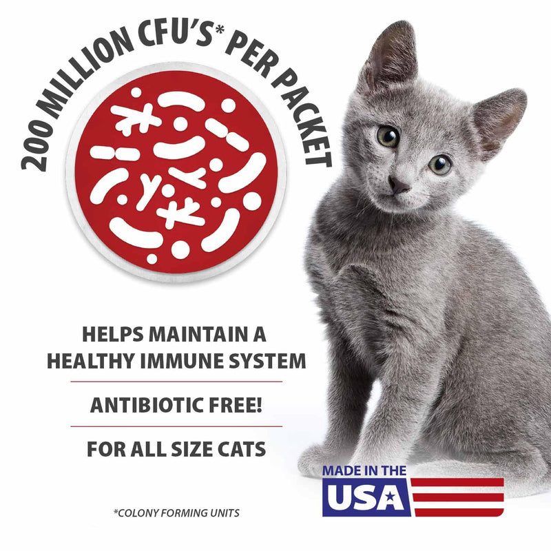 Jeffers Belly Buddy Cat Probiotic Powder Packets, 30 Count - Veterinary Formulated, Four Probiotic Strains & Vitamins for Gut Health, Diarrhea & Digestive Balance, Chicken Liver Flavor, USA Made For Cats 30 ct