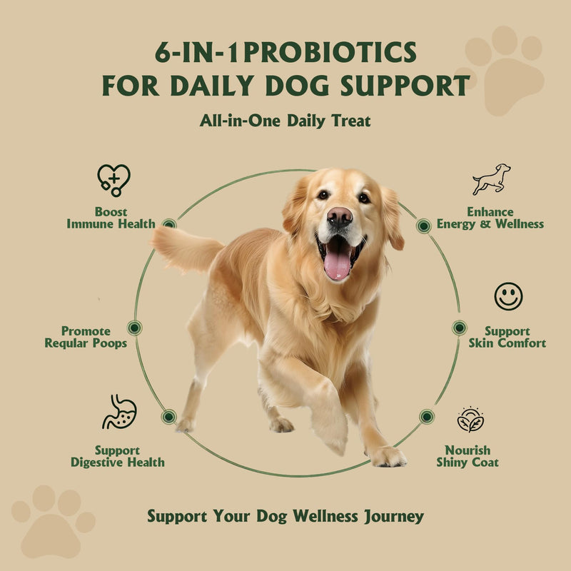 Probiotics for Dogs - Dog Probiotics for Yeast, Itchy Skin and Itchy Ears, Digestive Health, Diarrhea Relief, Gut & Immune Support - with 7 Enzymes, 6 Prebiotics & Omega-3 (Chicken Flavor 90ct)