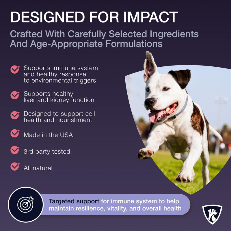 NutraRegen Dog Immune Support Supplement Powder 30 Scoops | Beef Flavored Powder with Turkey Tail Mushroom for Dogs| 30 Scoops Beef Flavor | 1.9 Oz