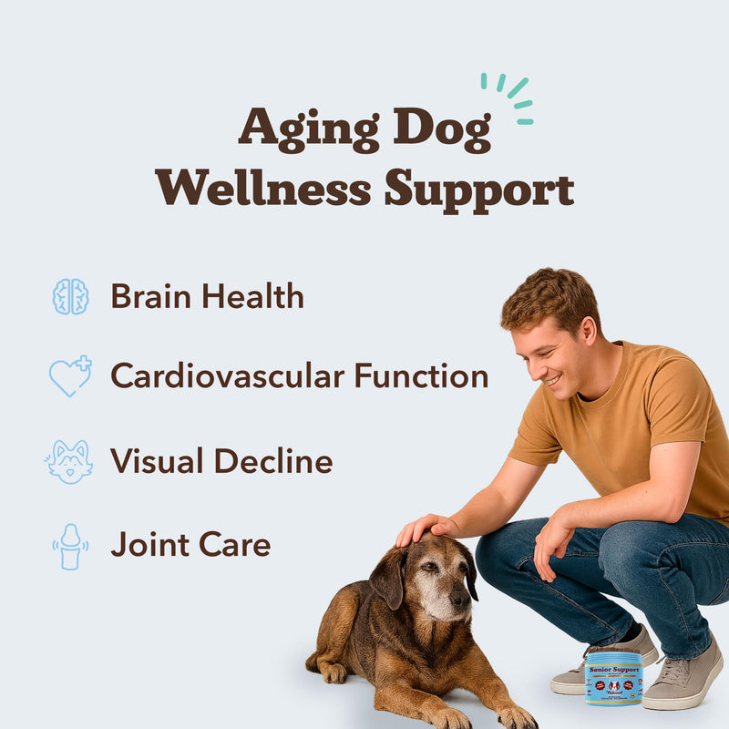 Natural Dog Company Senior Dog Bundle – Omega 3 Fish Oil Liquid 16oz & Senior Wellness Chews 90ct – Support Mobility, Brain, Heart & Eye Health with Turmeric, Salmon, Lion’s Mane & Omega-3s