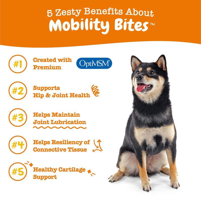 Zesty Paws Glucosamine for Dogs - Hip & Joint Health Soft Chews with Chondroitin & MSM - Functional Dog Supplement for Pet Mobility Support with Kelp + Vitamins C and E for Hips & Joints Bacon 90 Count (Pack of 1) - PawsPlanet Australia