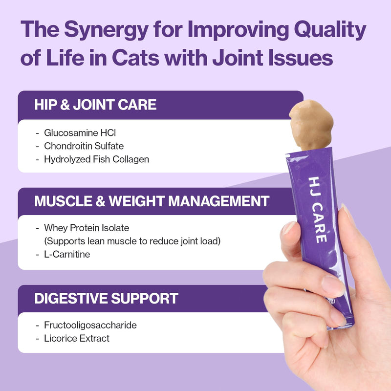 Doctor By HJ Care Cat Joint Supplement Hip&Joint Care Glucosamine for Cats Arthritis Pain Relief with Glucosamine & Chondroitin 30 lickable Formula Individually Packaged, Salmon (1 Pack)