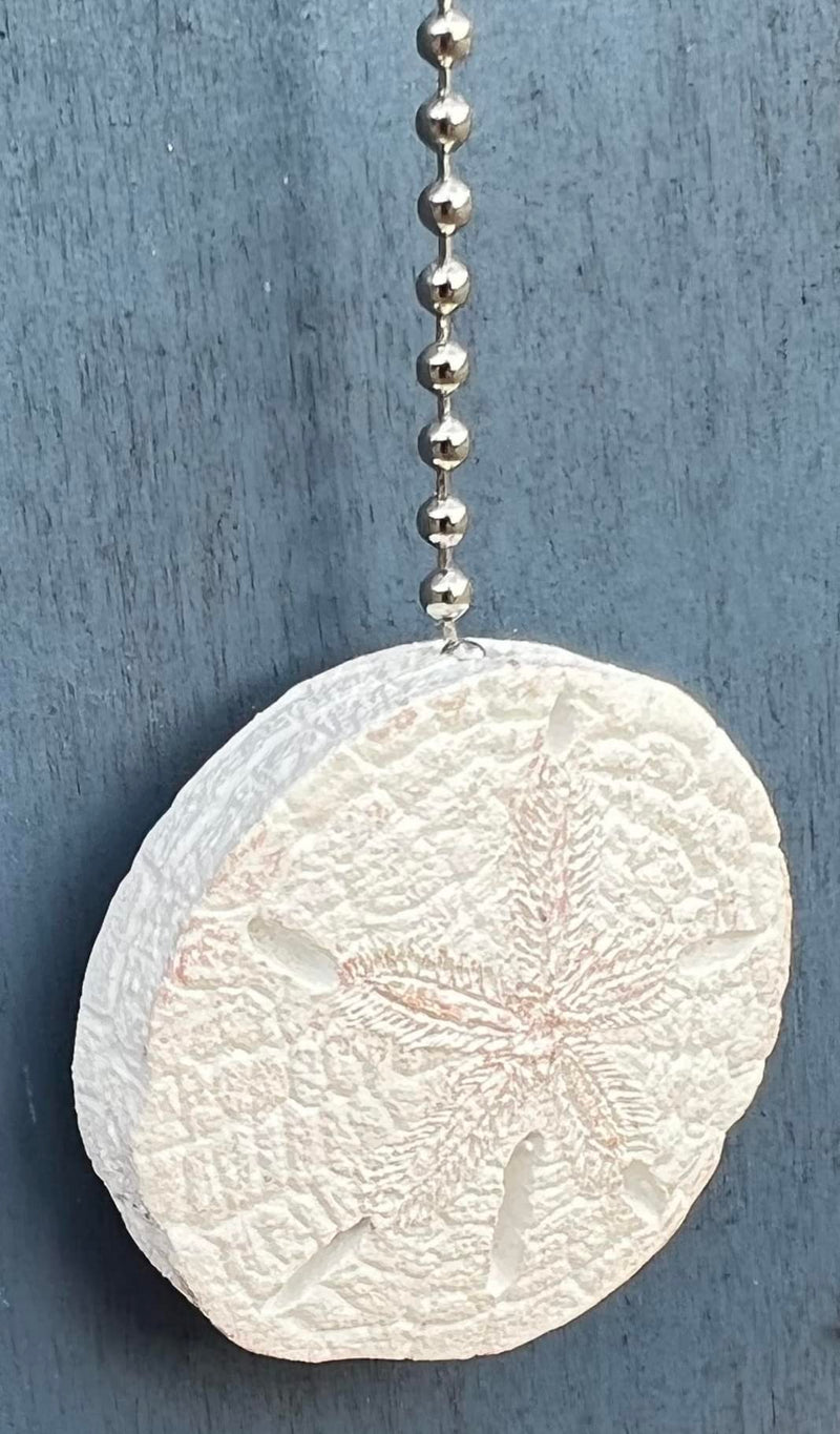 Realistic Large Sand Dollar Fan Pull - Beach Ocean Sea Shell Coastal Nautical Decor