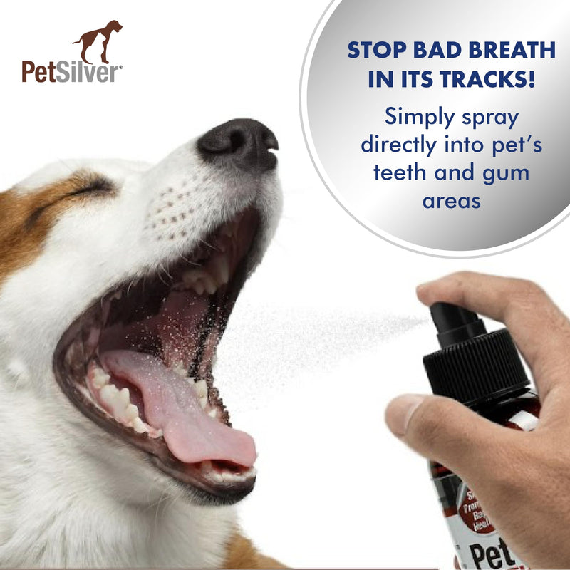 PetSilver Teeth & Gum Spray, Patented Chelated Silver, Natural Dog Breath Freshener, Cat and Dog Dental Cleaning without Brushing, Targets Tartar and Plaque, Dog Dental Spray, Made in USA, 4 oz. 1 Count (Pack of 1) - PawsPlanet Australia