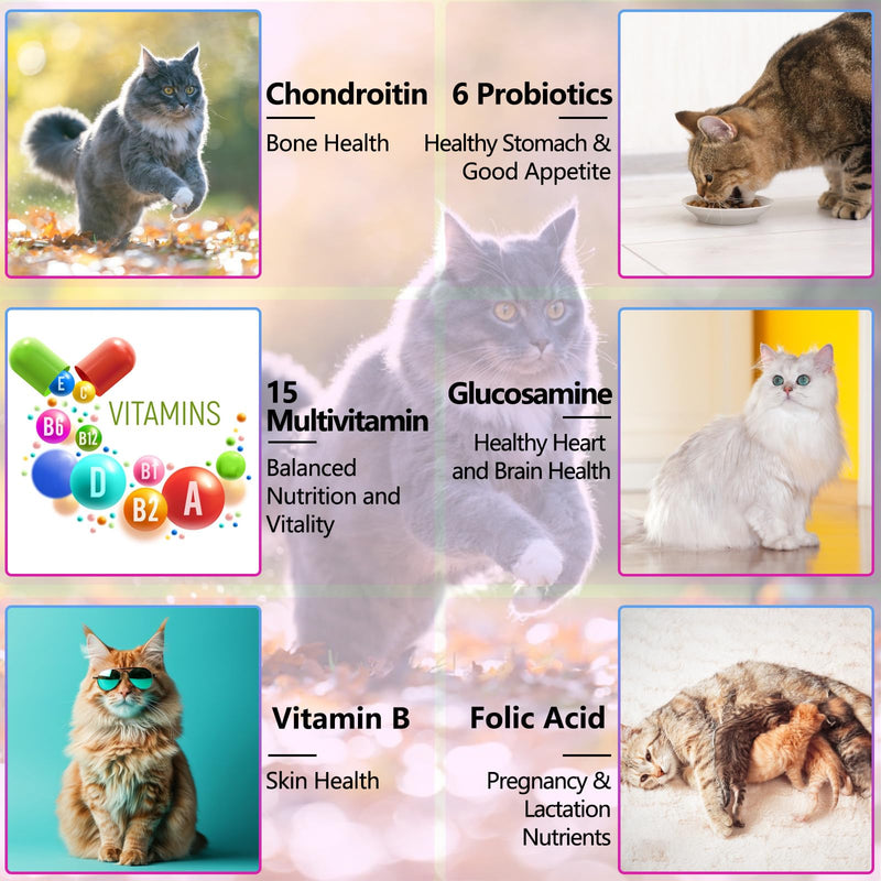 ZODENIS Cat Multivitamin 60ml,15 in 1 Cat Vitamins Liquid Drops Supplements for Heart Health, Bones, Joint, Skin & Coat, Bladder, Immune System Support
