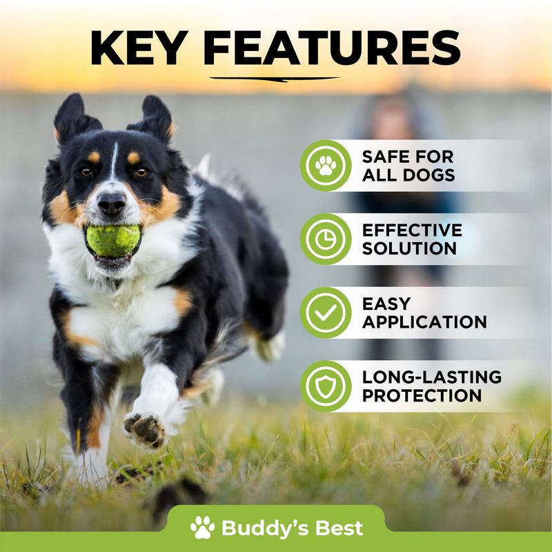 Spot On Flea Treatment For Dogs | Natural Flea & Tick Repellent | Long Lasting & Effective Protection | 50ml - PawsPlanet Australia