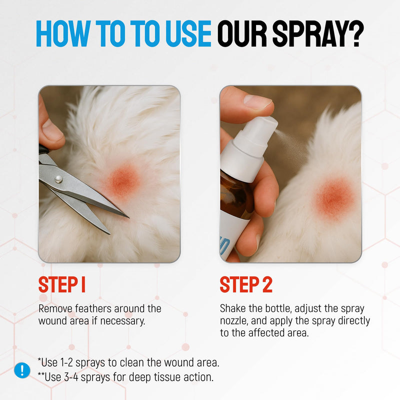 SILVER GRADE Wound Spray for Chicken – Birds & Chicken Antibiotics Alternative to Help with Pecking Sores, Bumblefoot, Cuts – Poultry Spray with Silver – GMOs Free – 4-Oz Bottle 4 Fl Oz